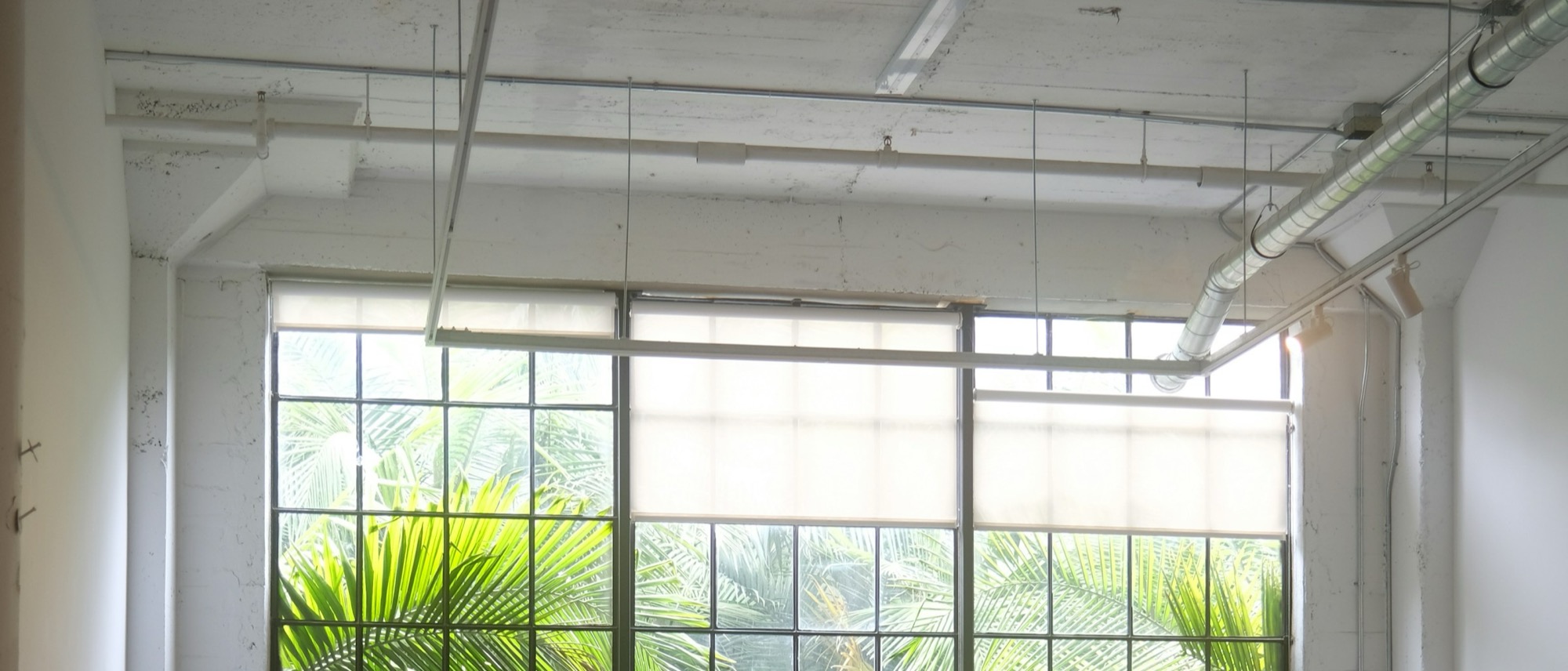 Ambiente interno con grande vetrata industriale, piante e luce naturale